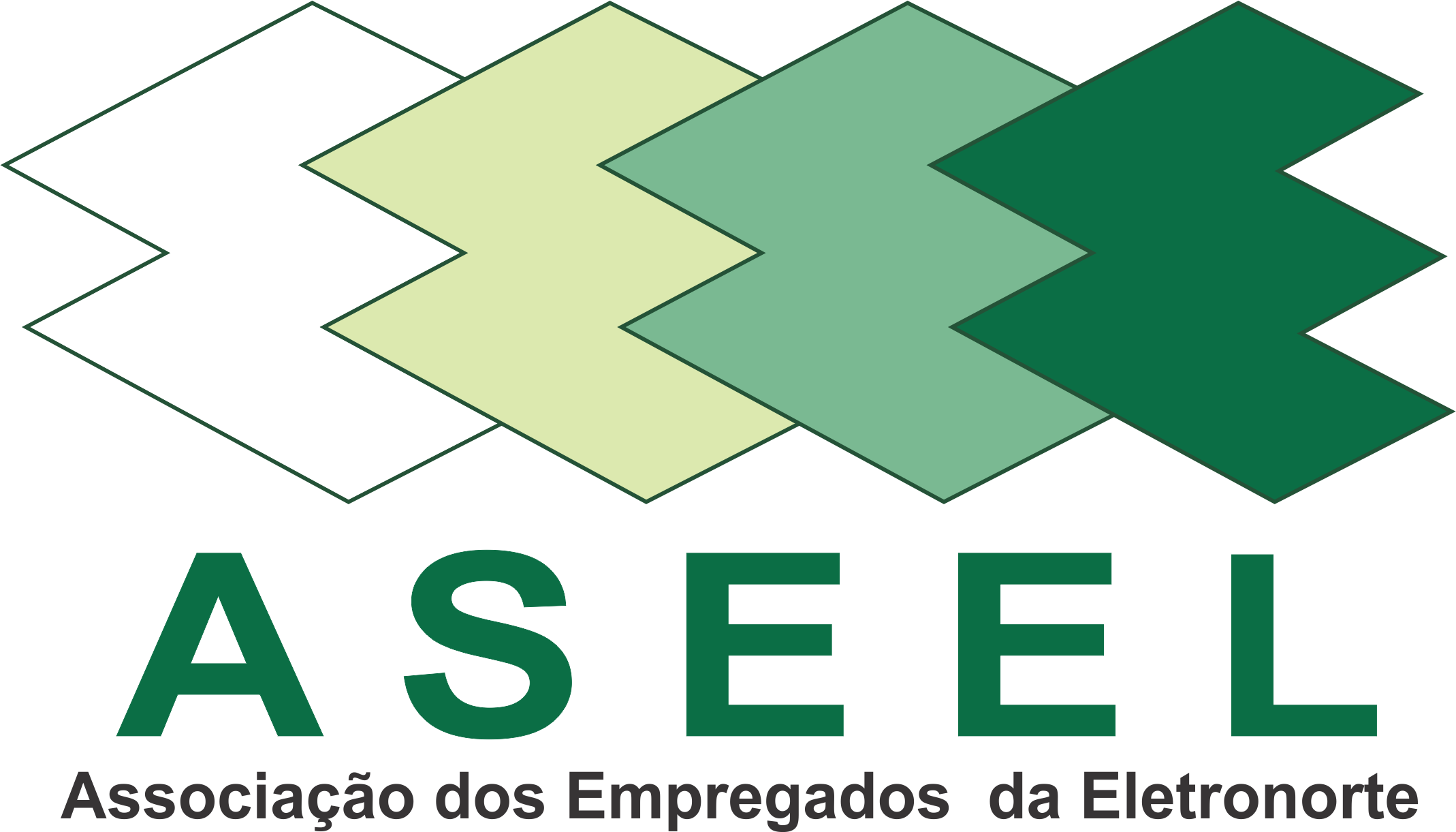 LOGOMARCA-ASEEL-1-1